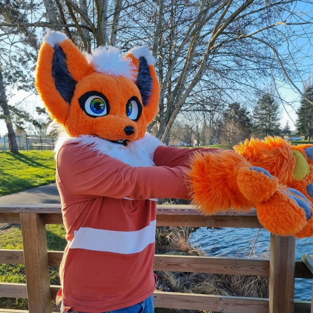 🦊 Pacify Fonce 🌈