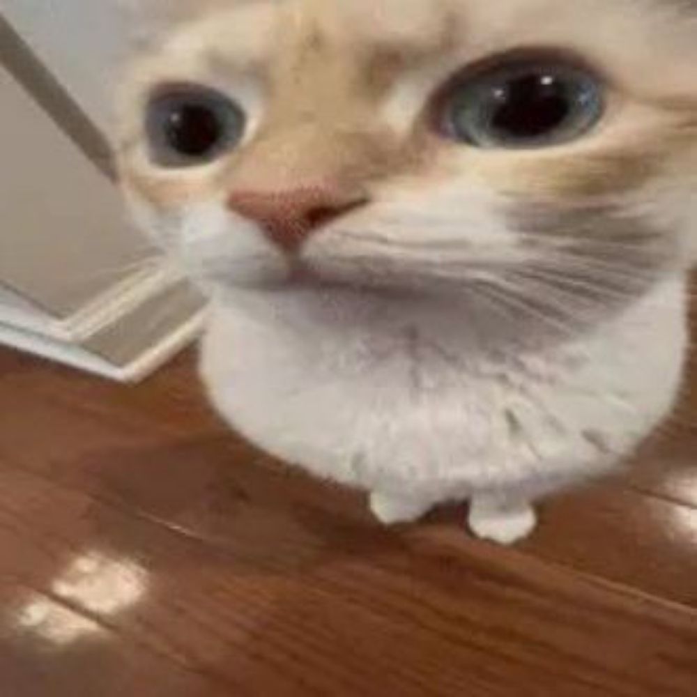 cara de bosta da Silva 