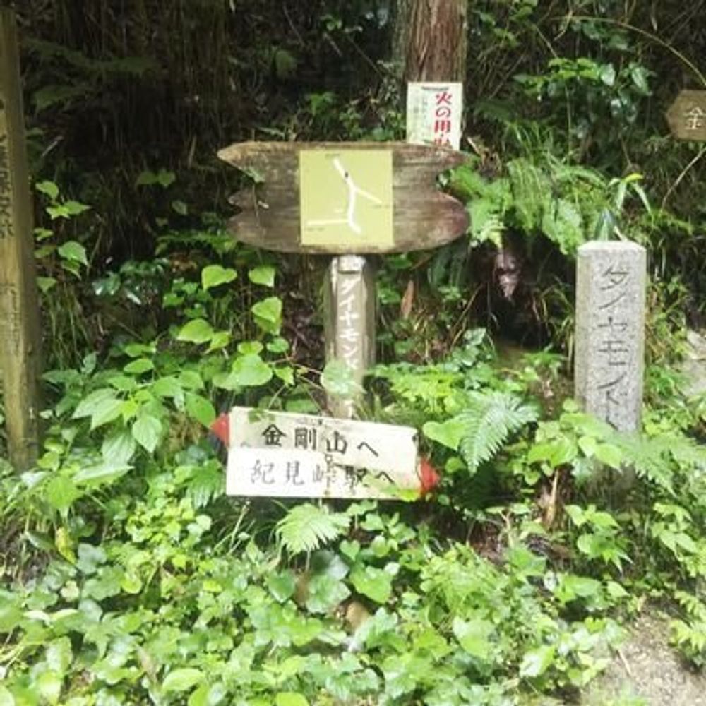高野山まで歩こう！