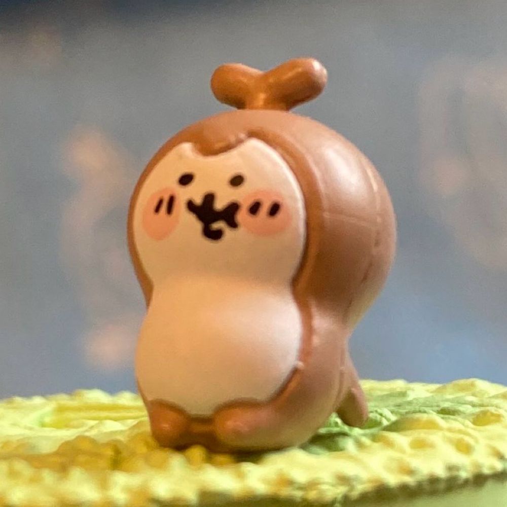 ひよこまめ(*´꒳`*)