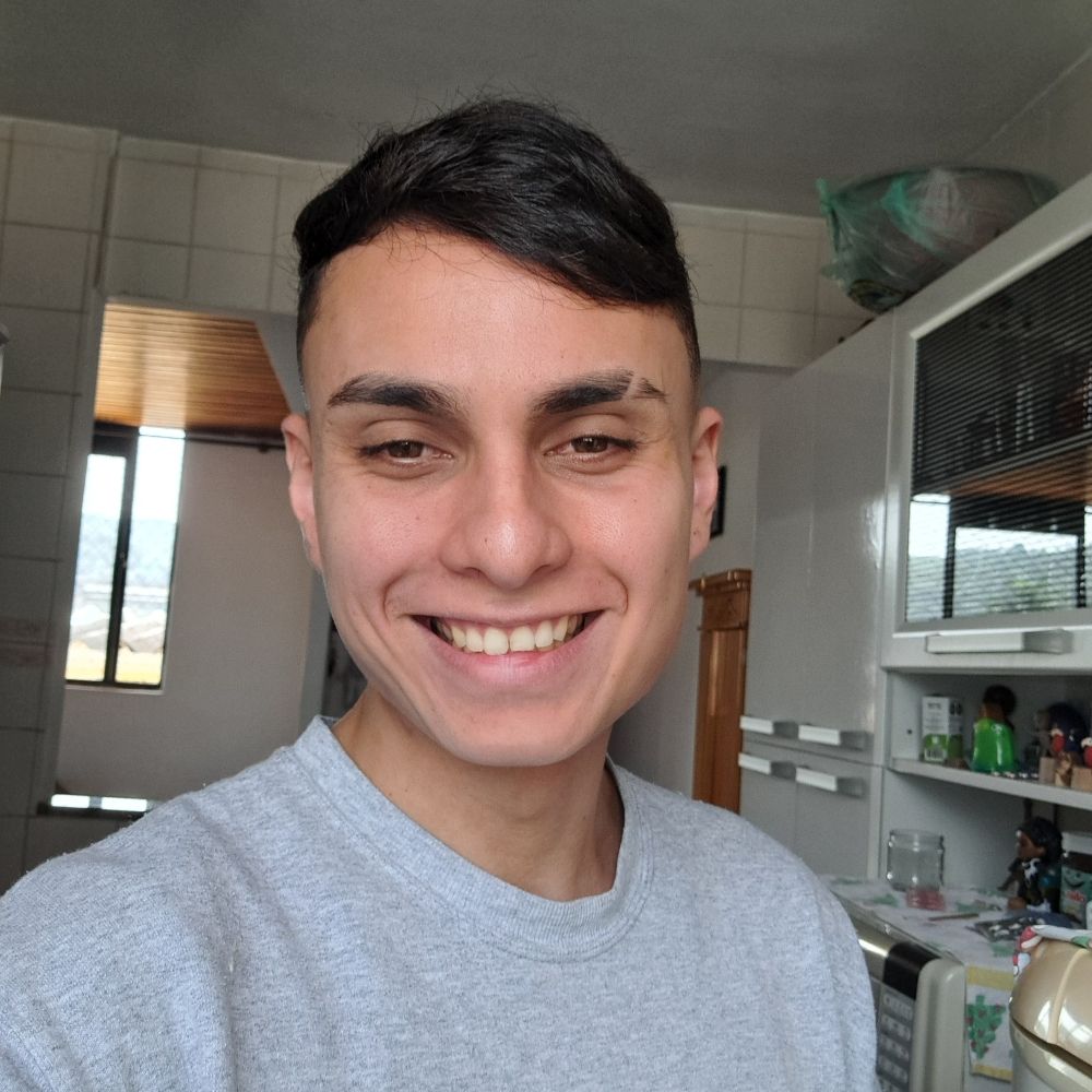 Vida mansa