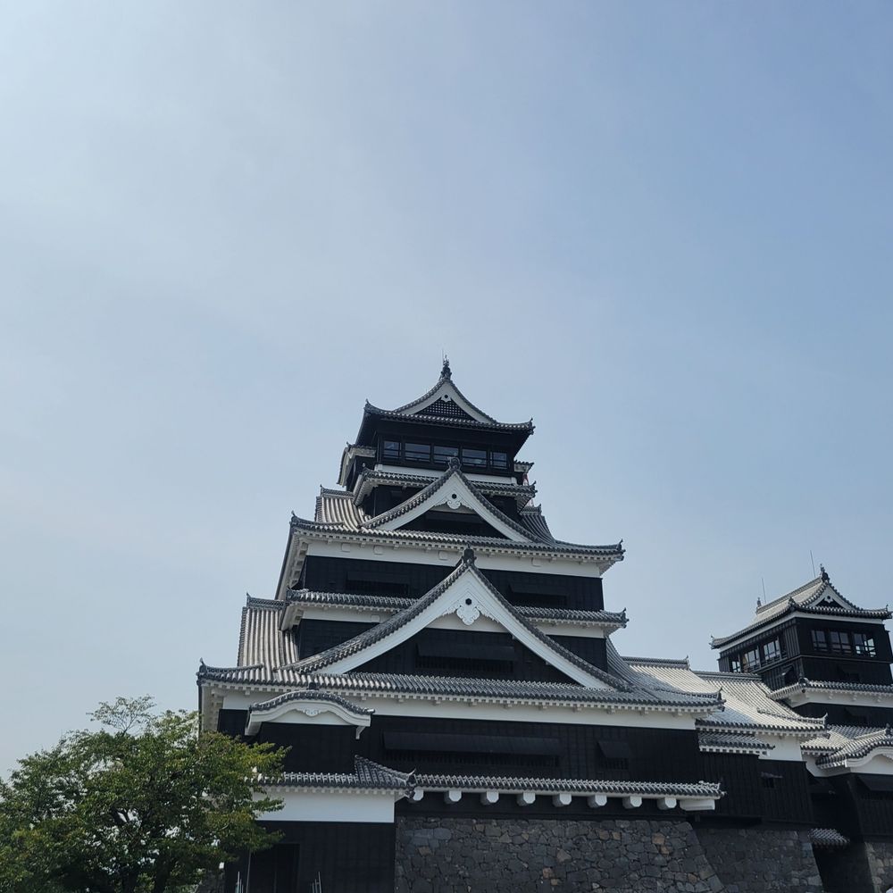 テクなし