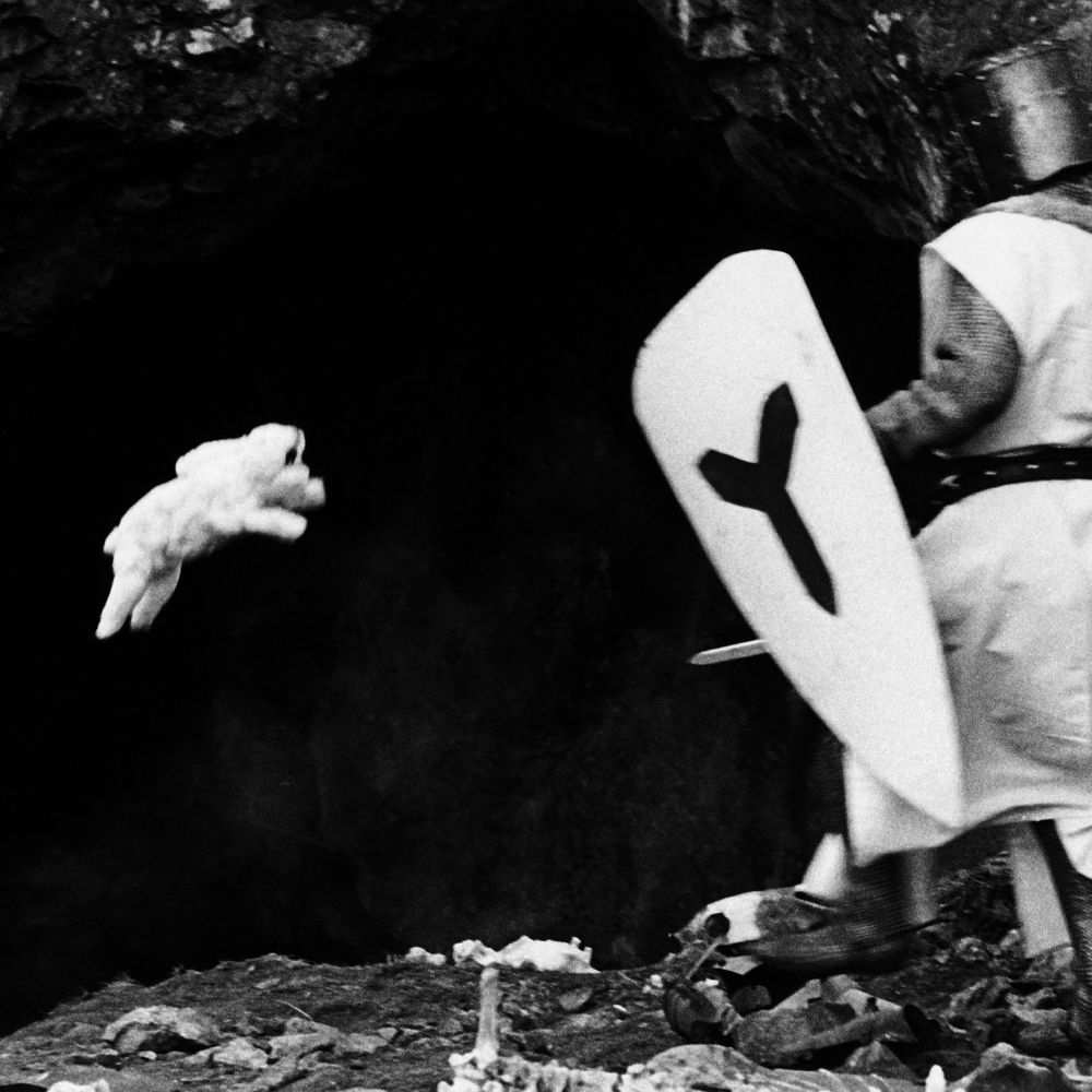 The Rabbit