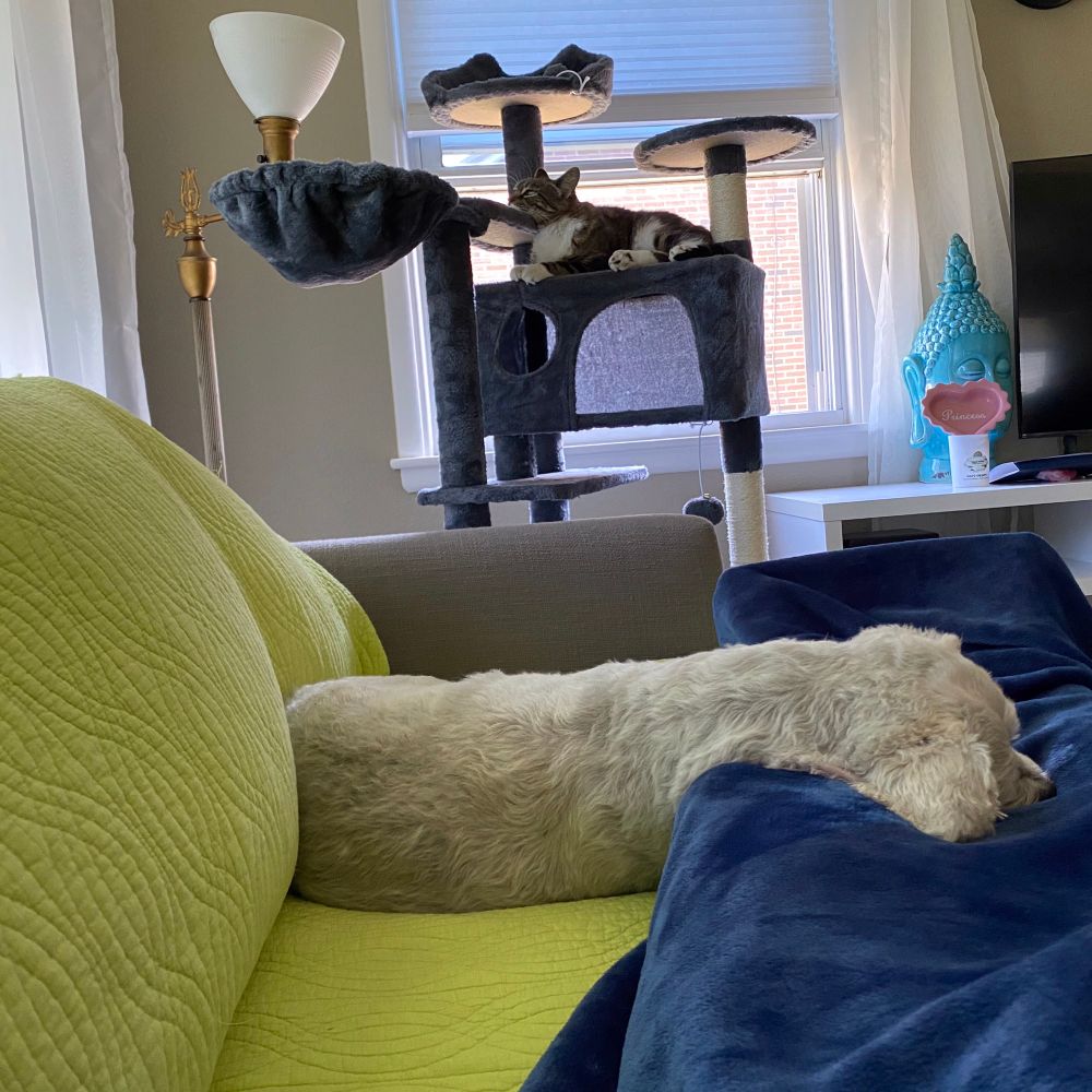 harkster35.bsky.social profile picture