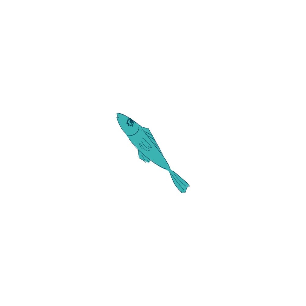 〜🐟〜