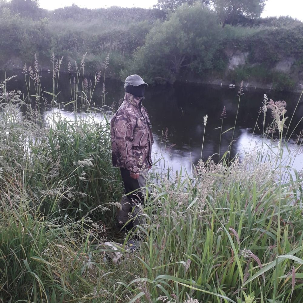 Brandon Creek