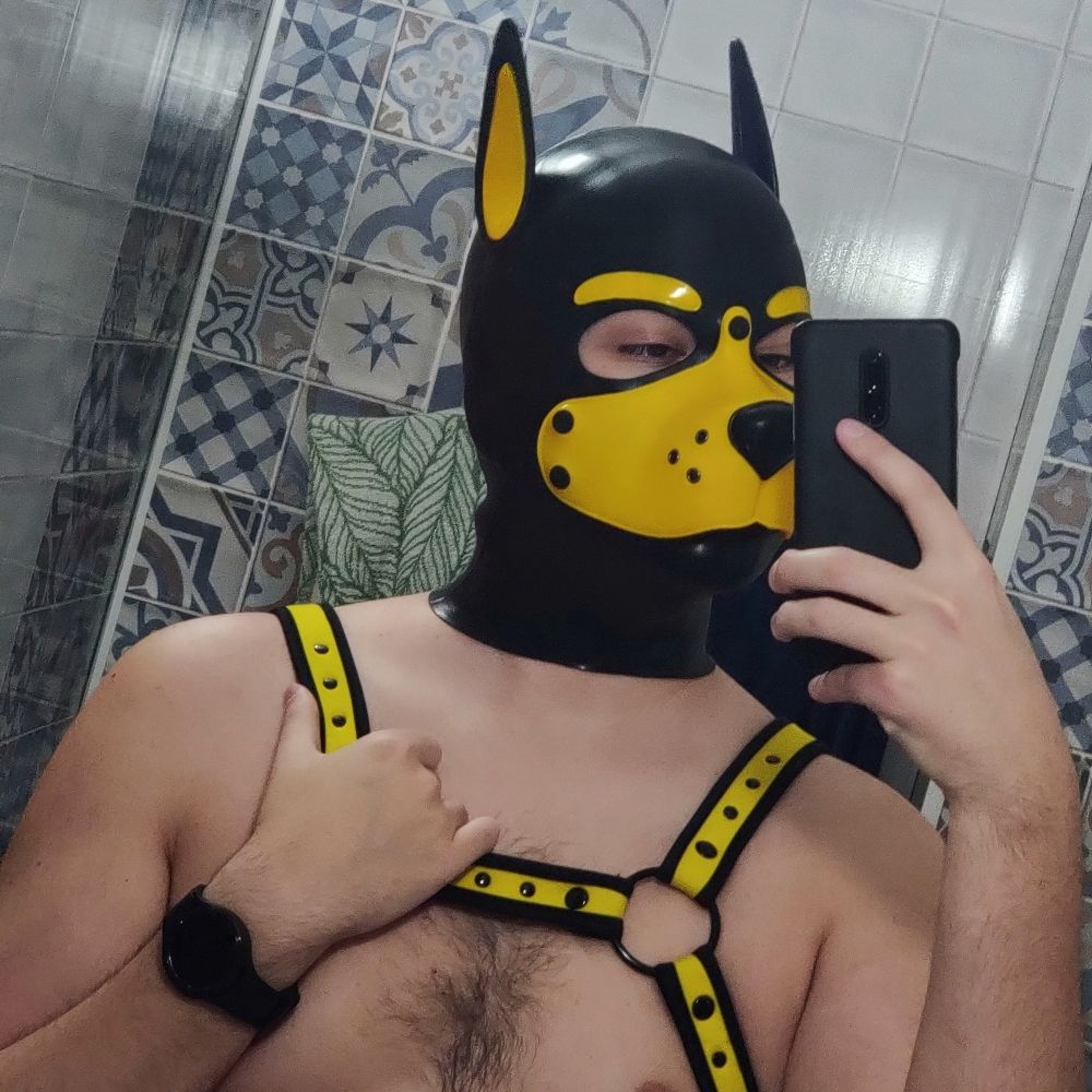 SimonPup