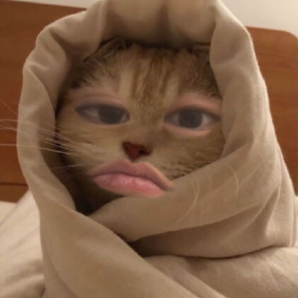 뉸누우동