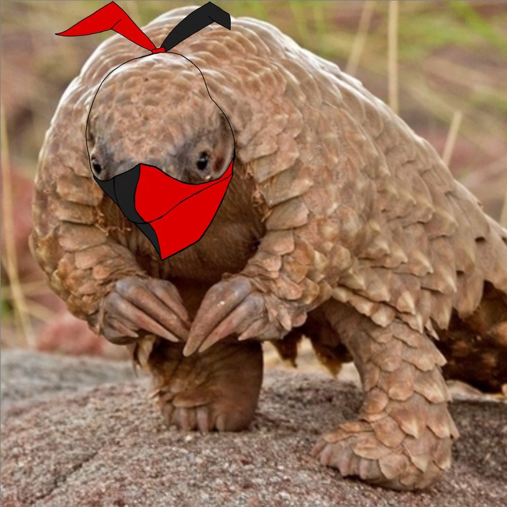 Anarcho-Pangolin