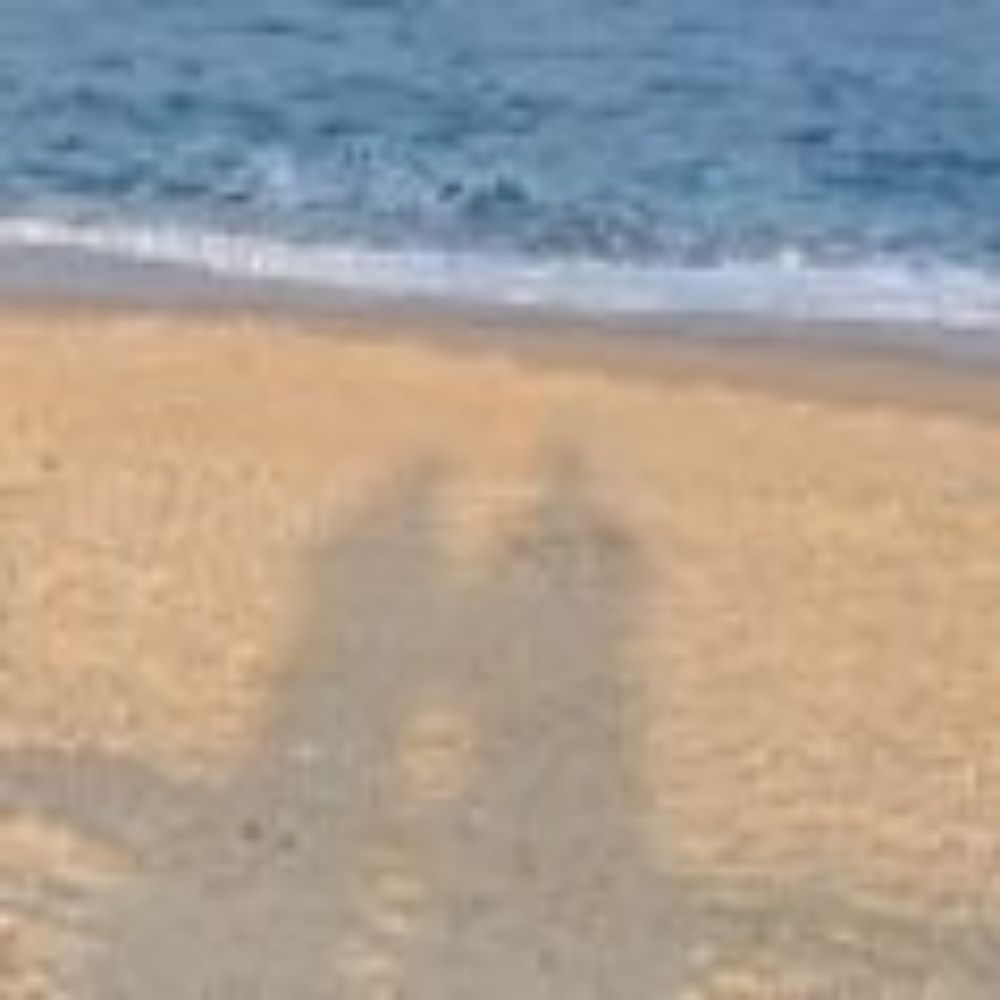 호호부부