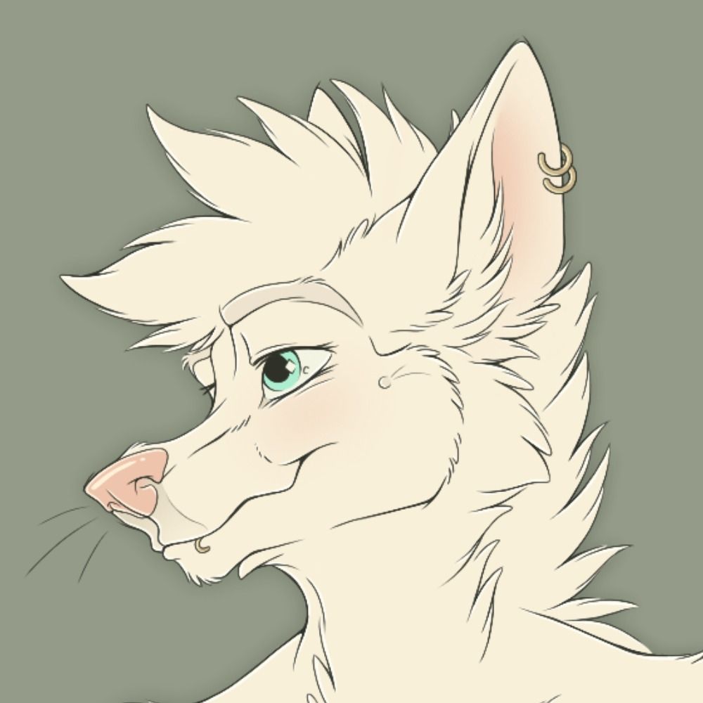 ☽○☾ Everwhite Yote ☽○☾