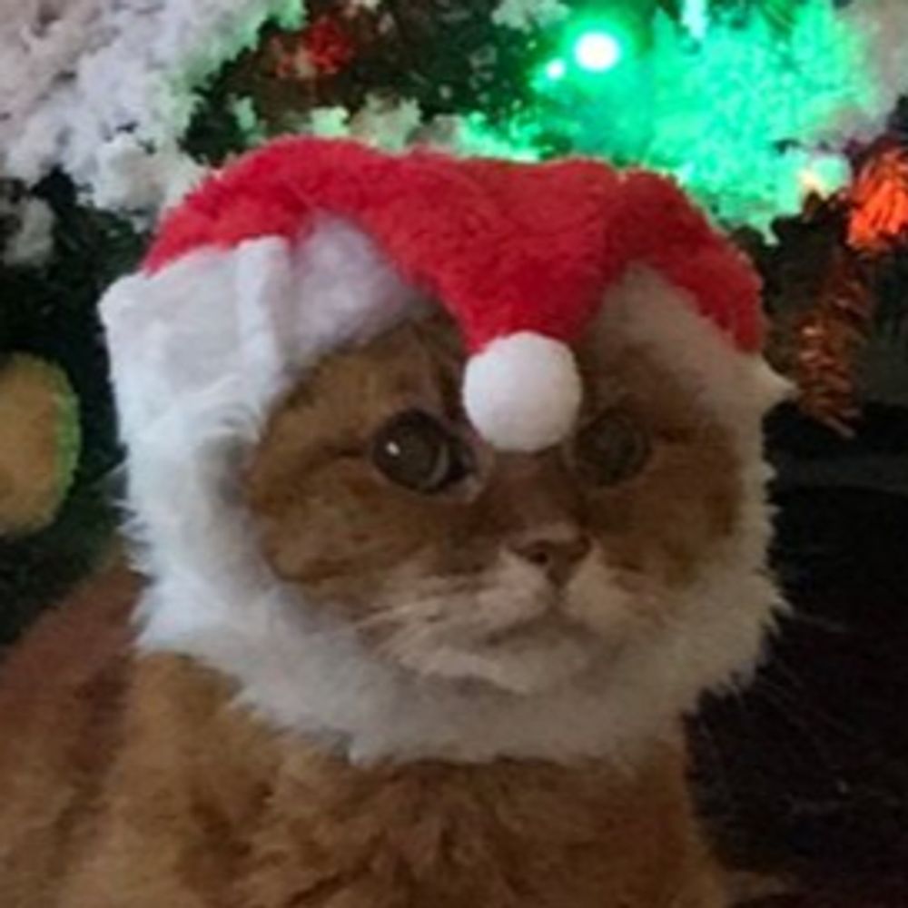 VcrowCat