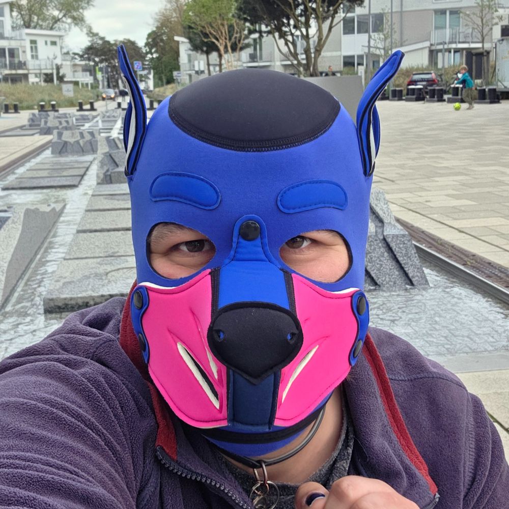 Pup_Yuco