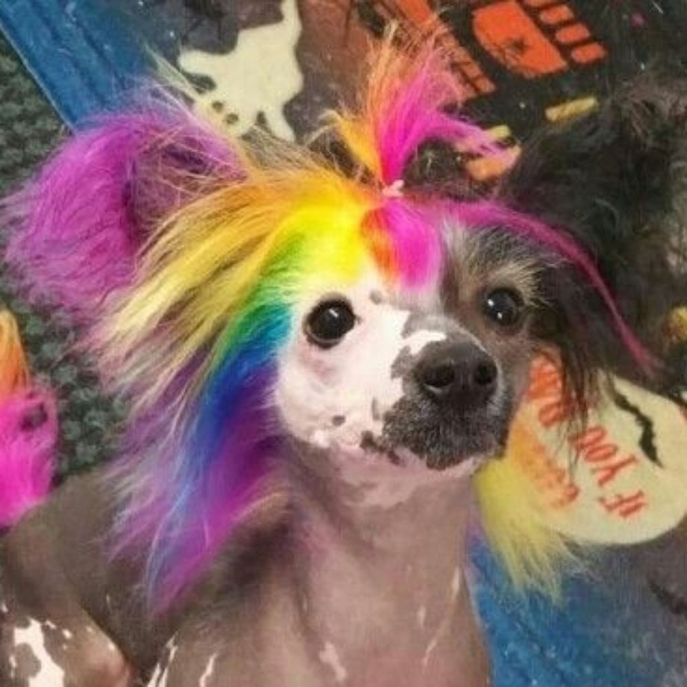 freak! 🍄🌈💫🔞
