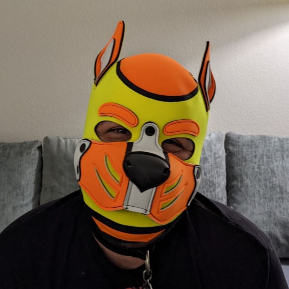 Pup Huff 🔜 🇩🇪