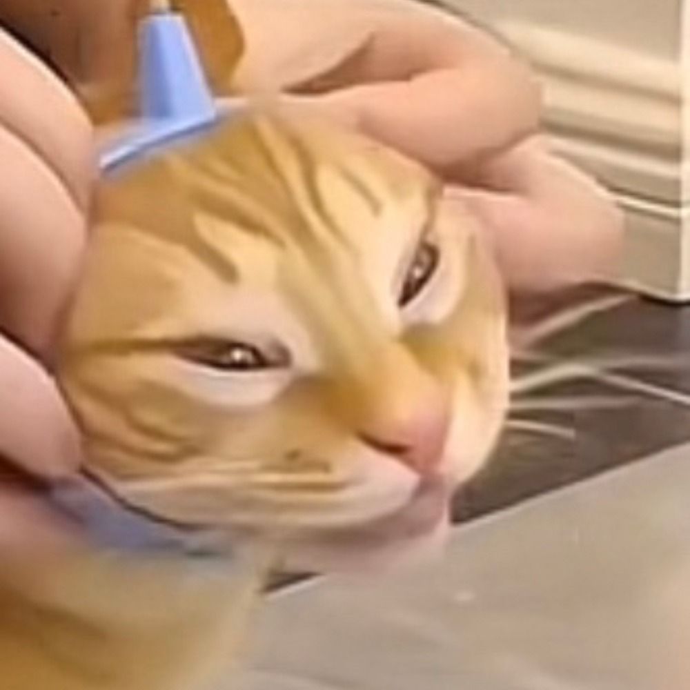 Ori~o
