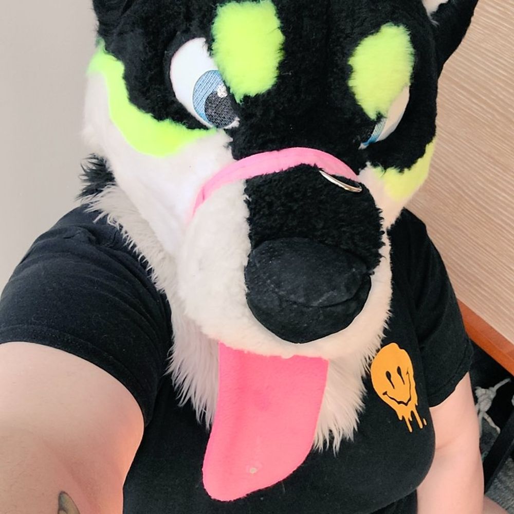 ShibeCheeks