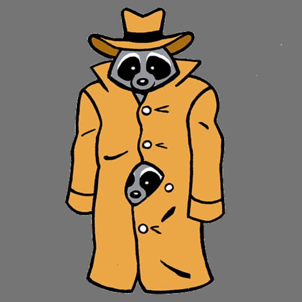 Chris' RacCoons's avatar