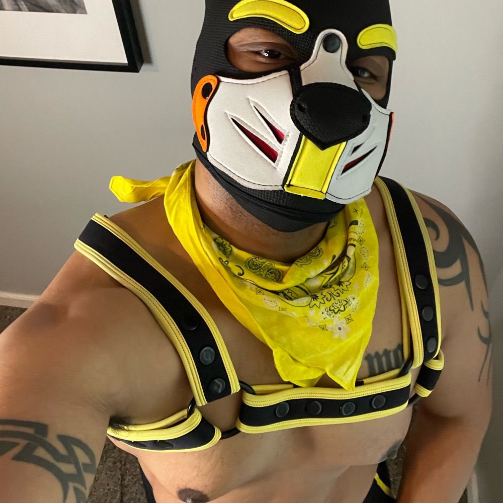 Pup Ignite 🔜 DC World Pride