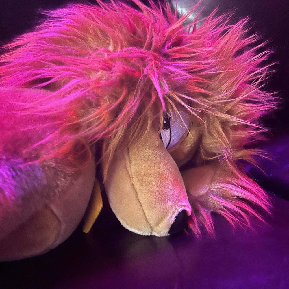 Moutaineerplush