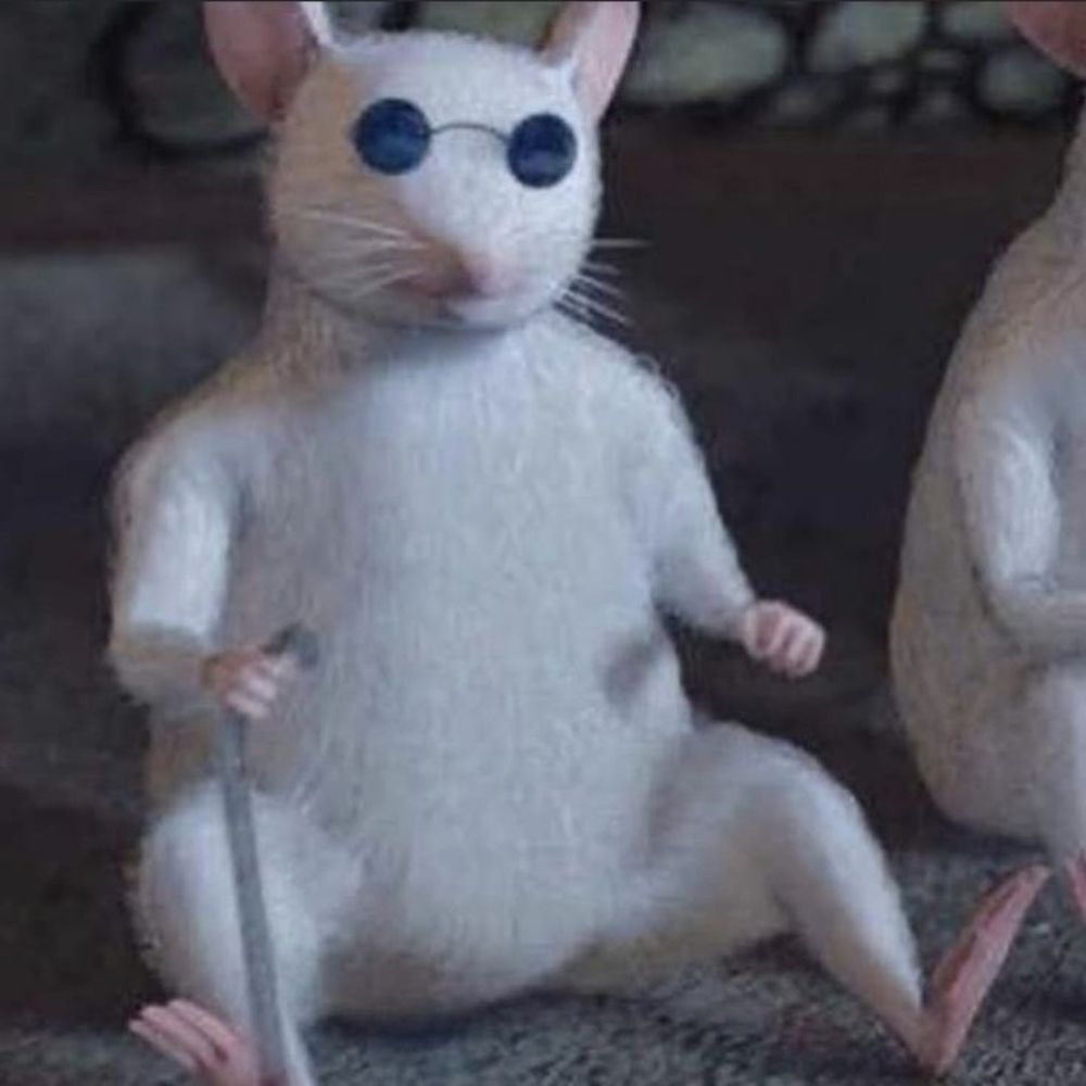 Rato cego 