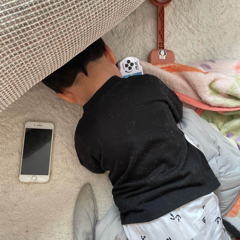 ほたて