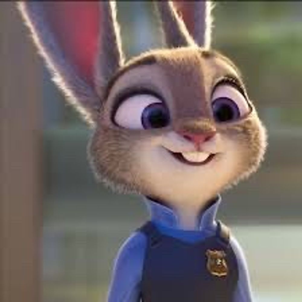 茱蒂🐰