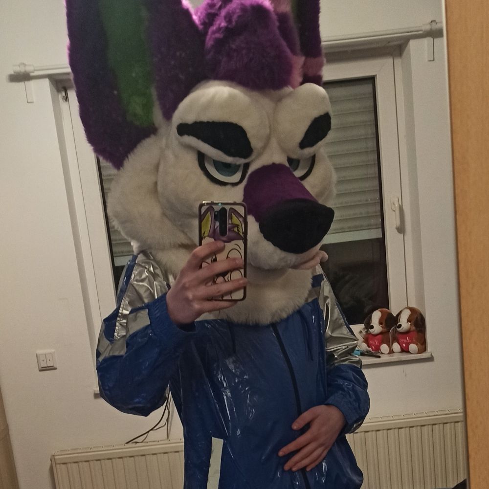 Railion Wolfy