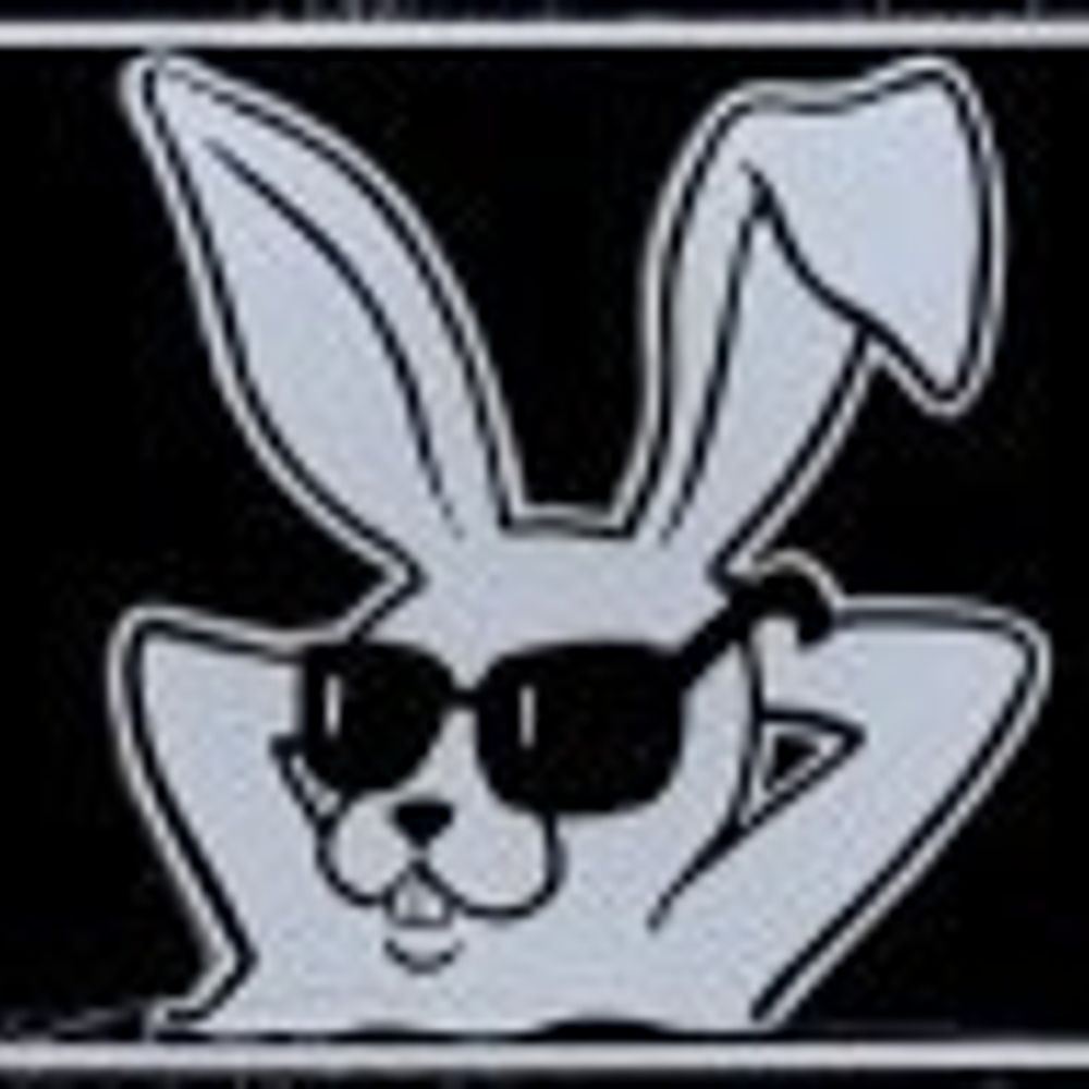 Hase007_Lingen