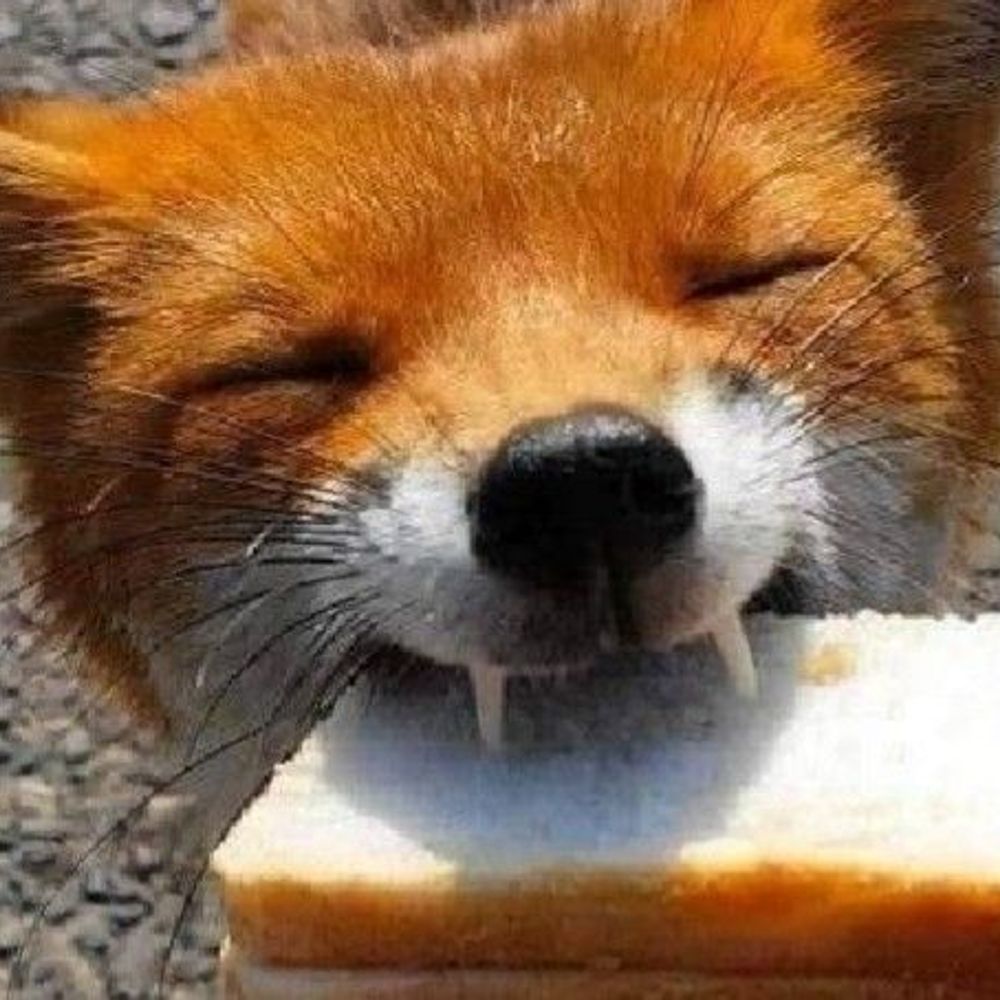 fox