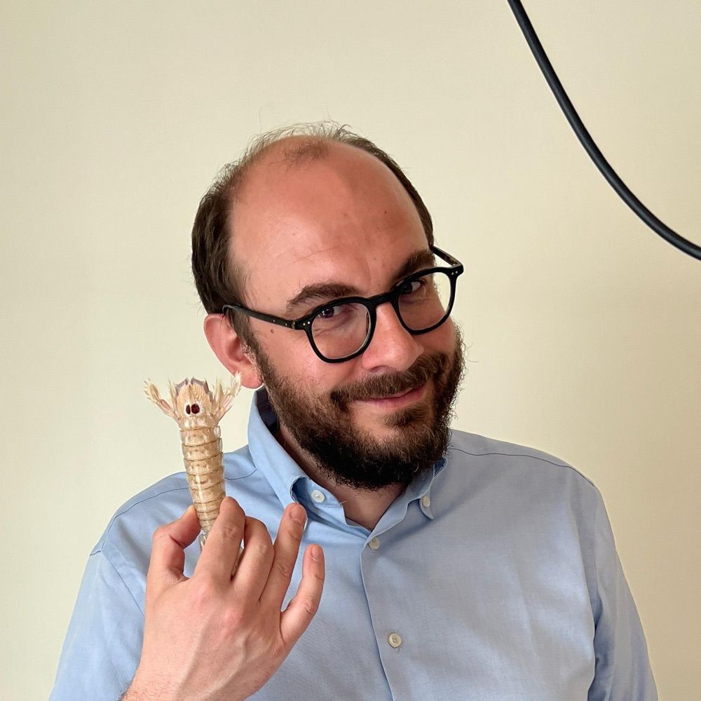 Eugenio Signoroni