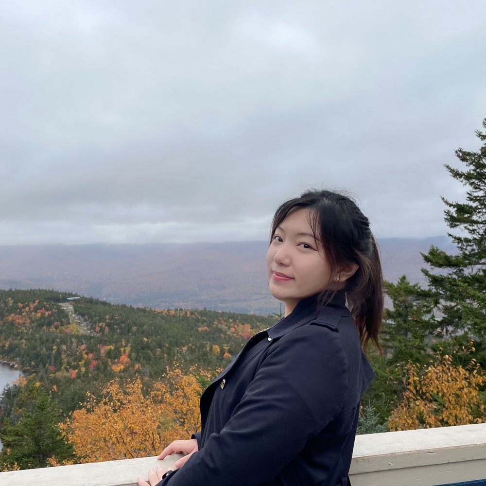 Yannan Zhu