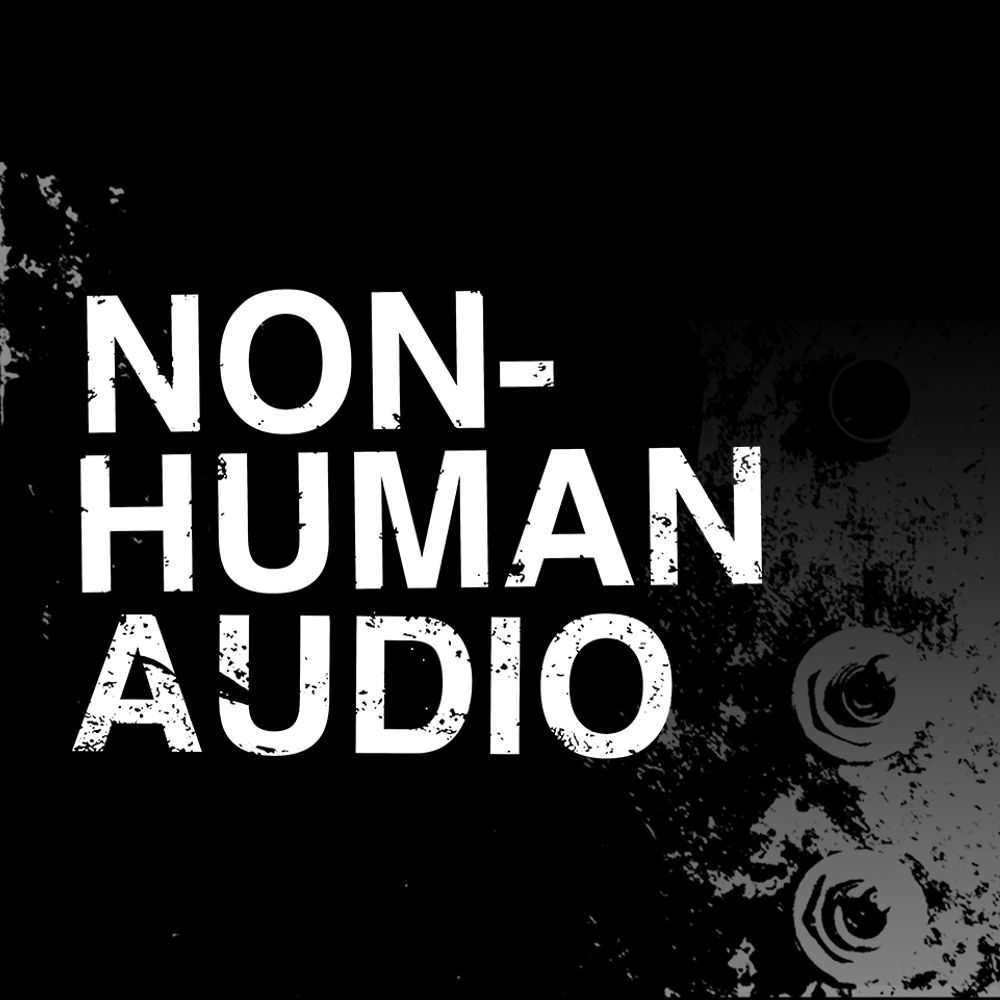 Profile picture nonhumanaudio.bsky.social