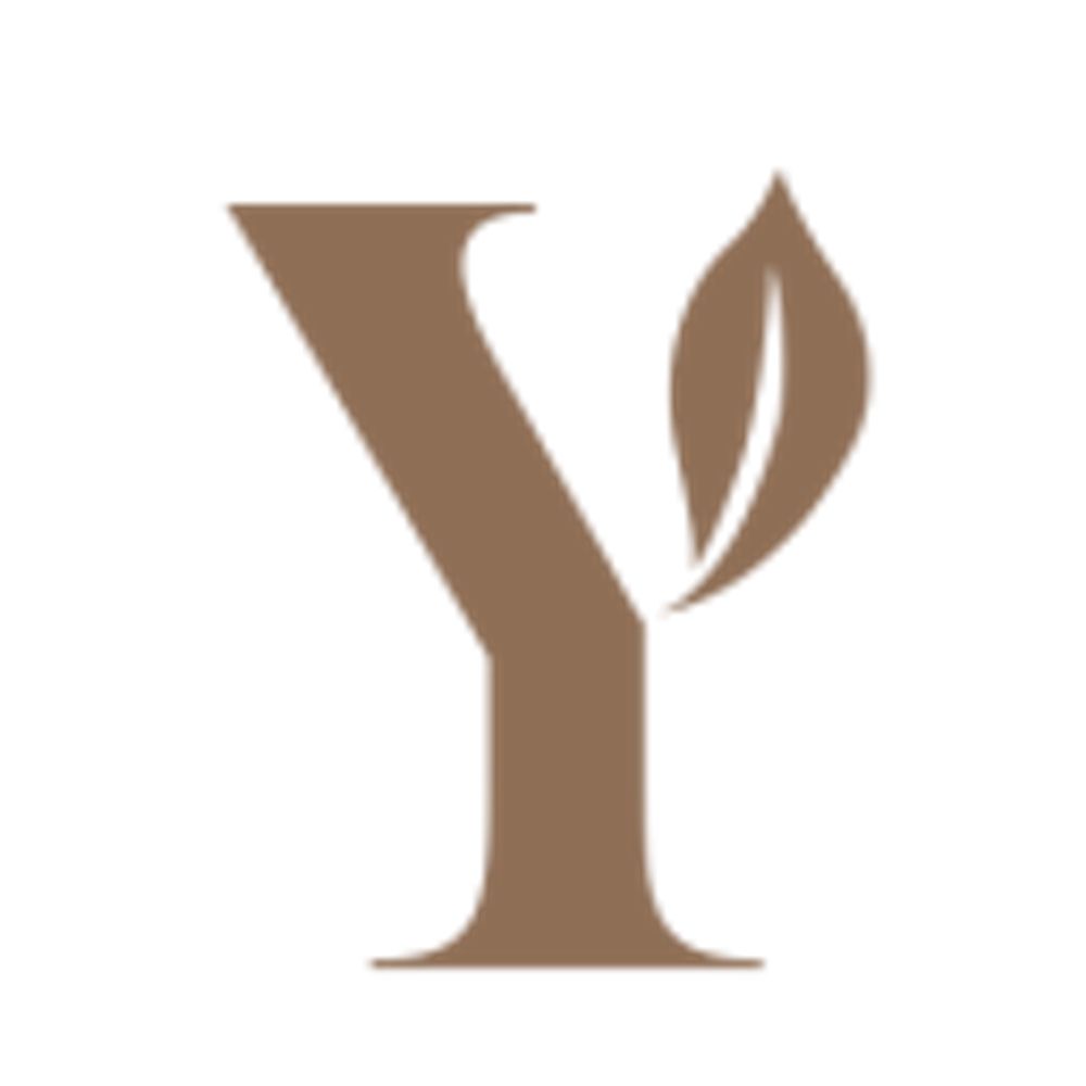 Young Anglican Theology 