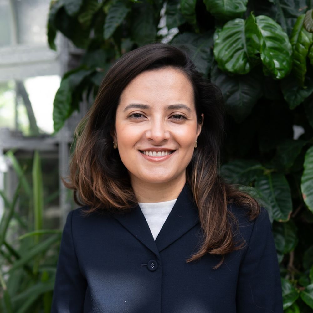 Ana Builes