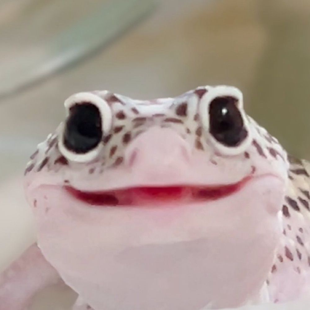 とうめい