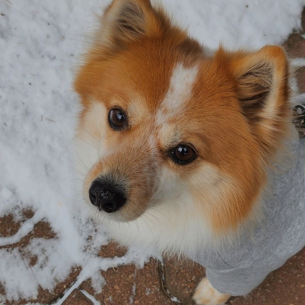 🧡라떼🧡
