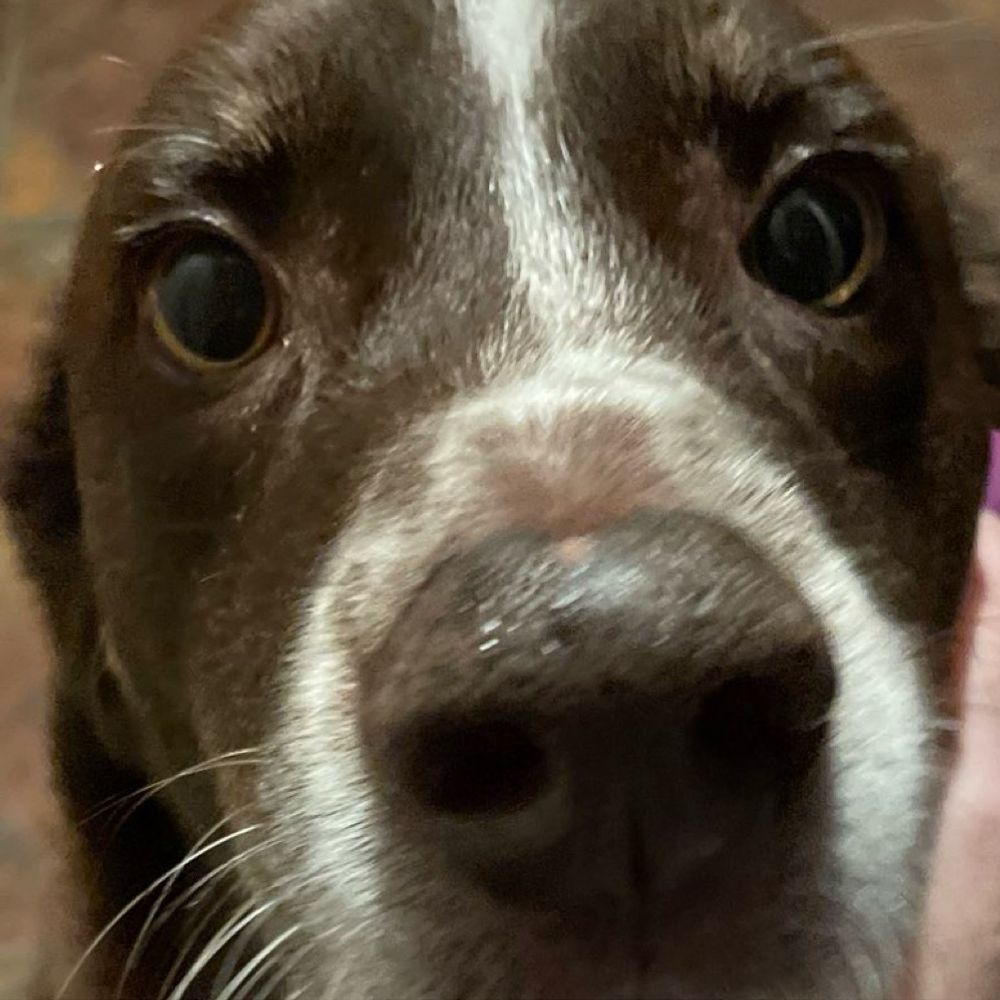 Sam