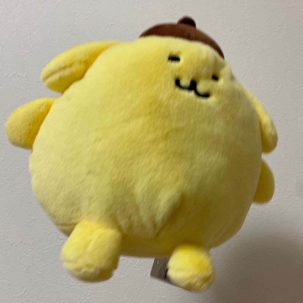 ひかげ