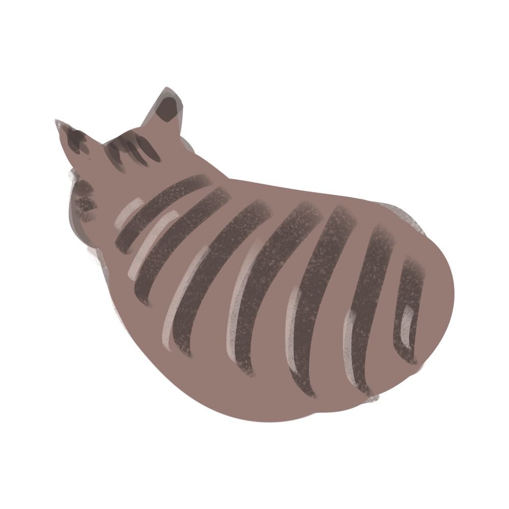 BINPA
