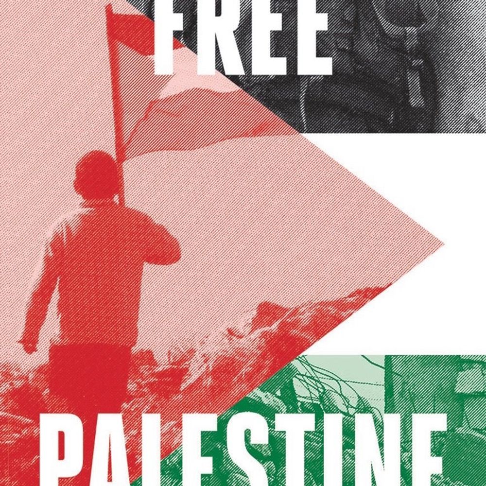 Tom Wood🇵🇸