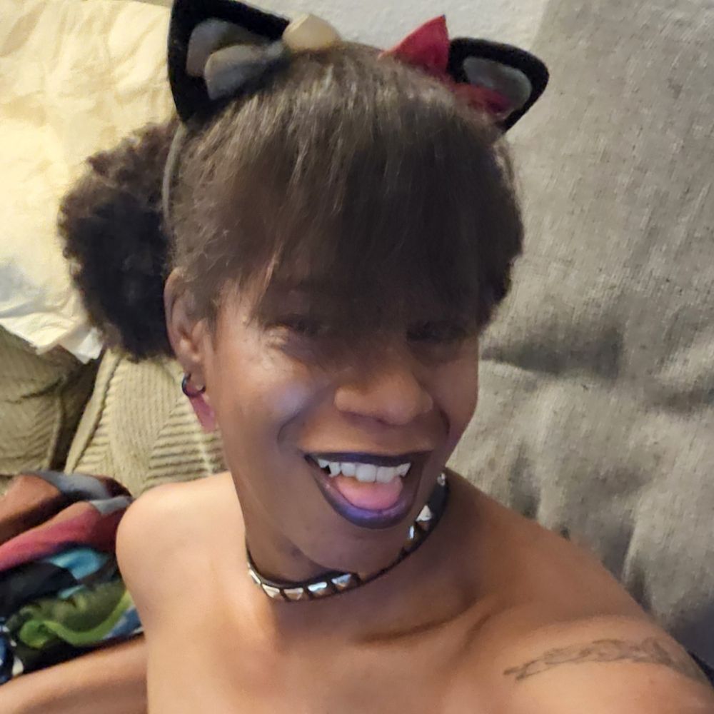 Kitty Kat