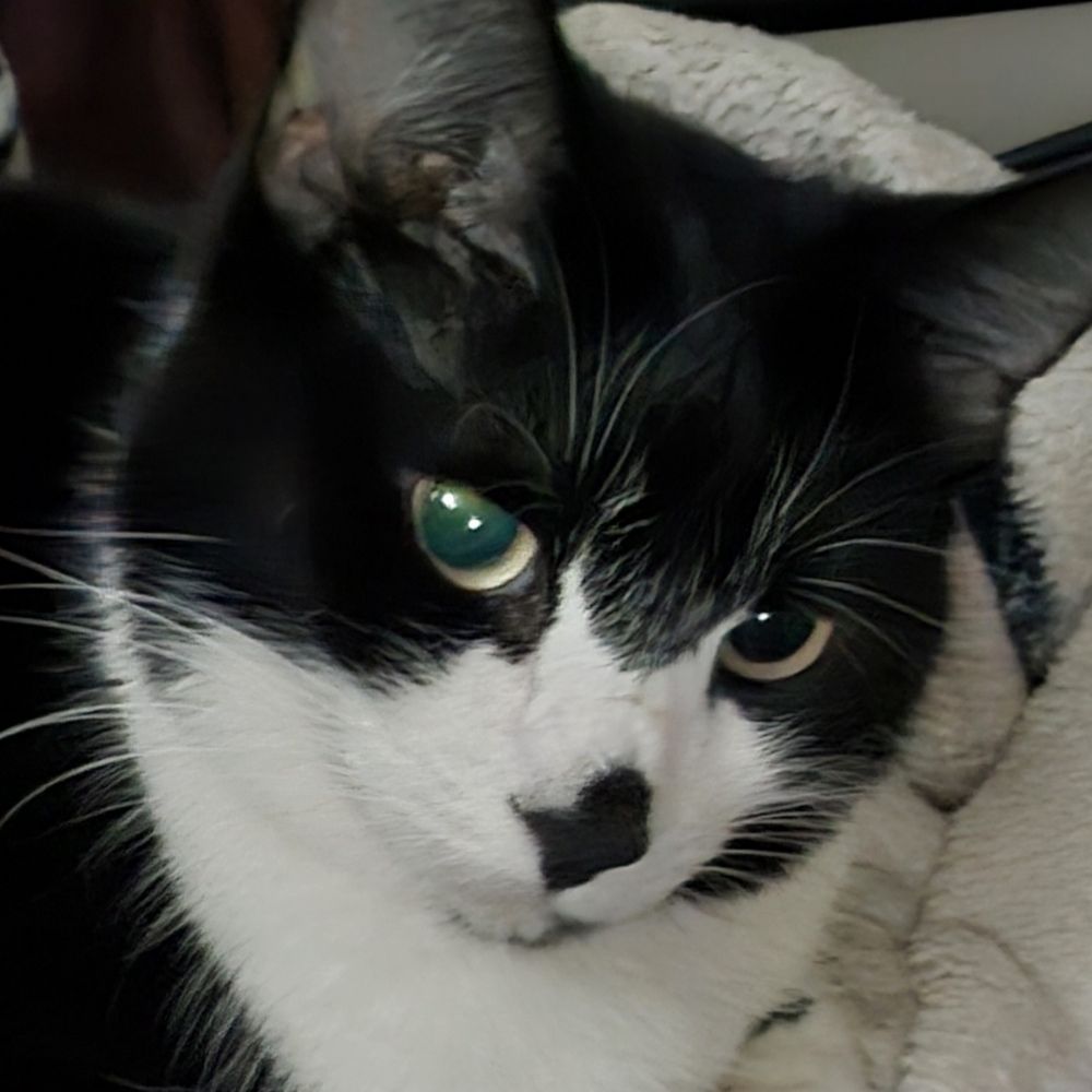 Luna