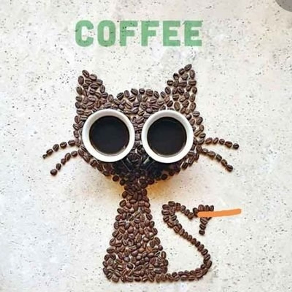 Kaffeekatze