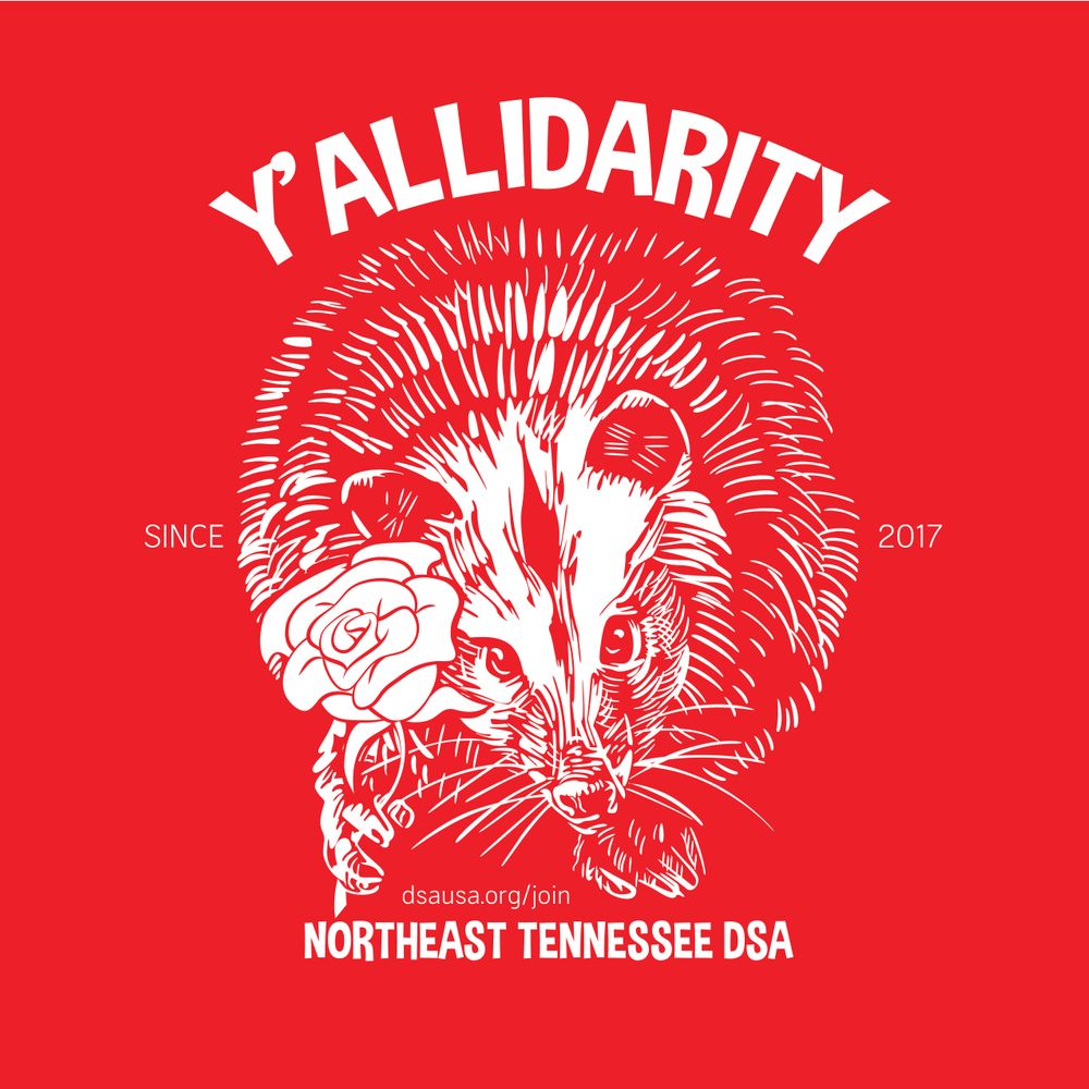 Northeast TN DSA