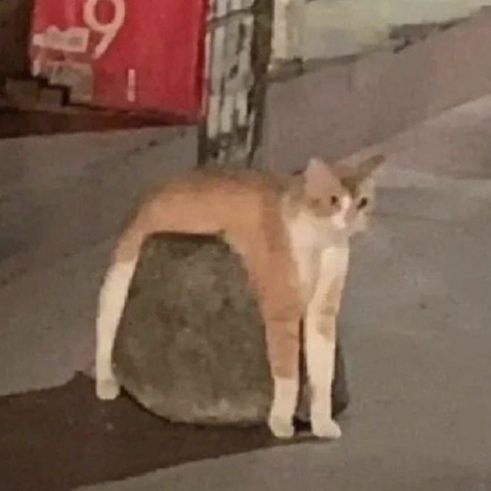 실력