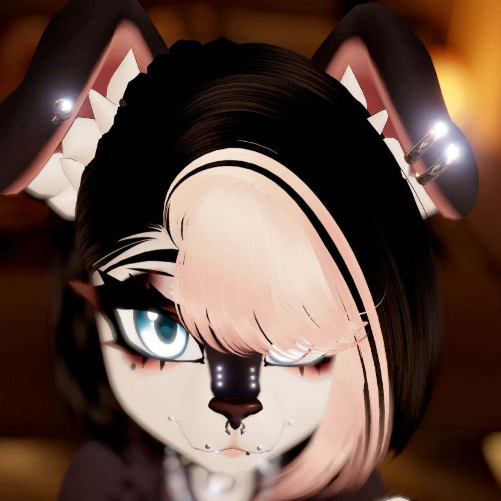 ✨️Stray✨️