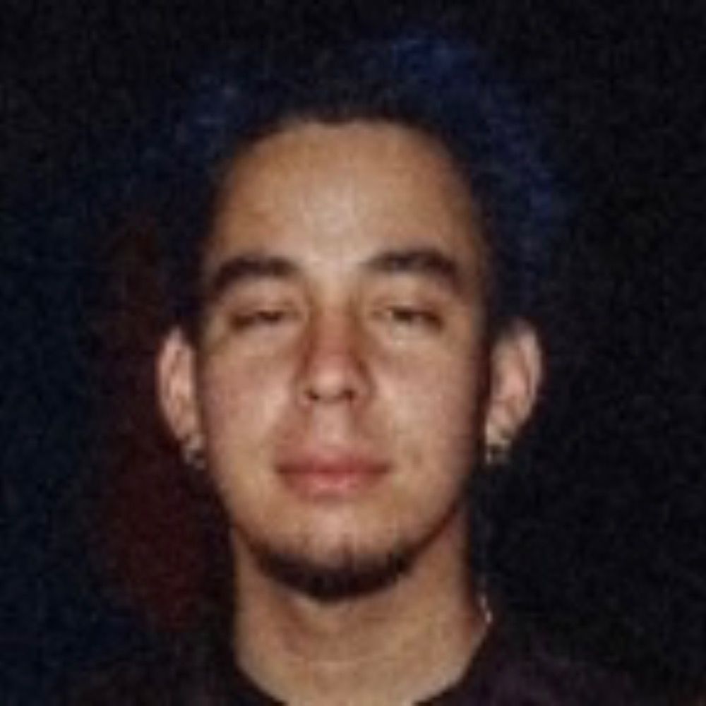 totally real mike shinoda