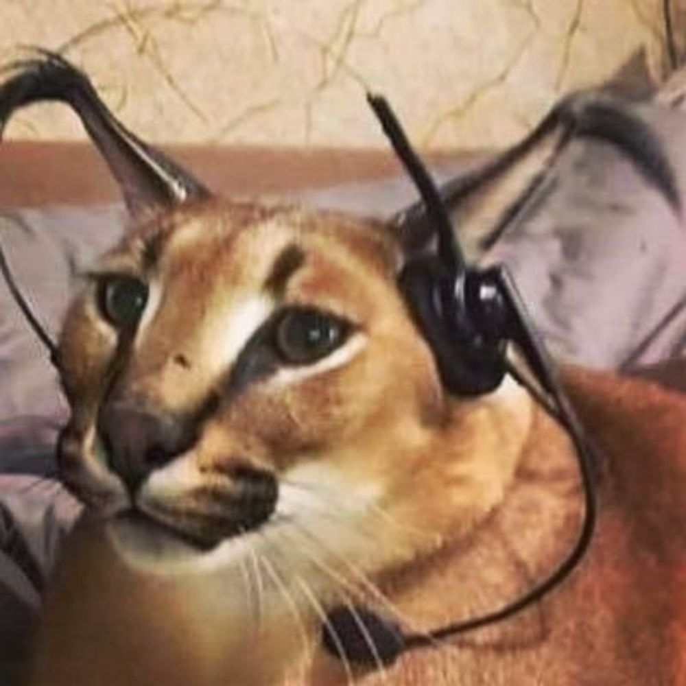 Chat service après vente