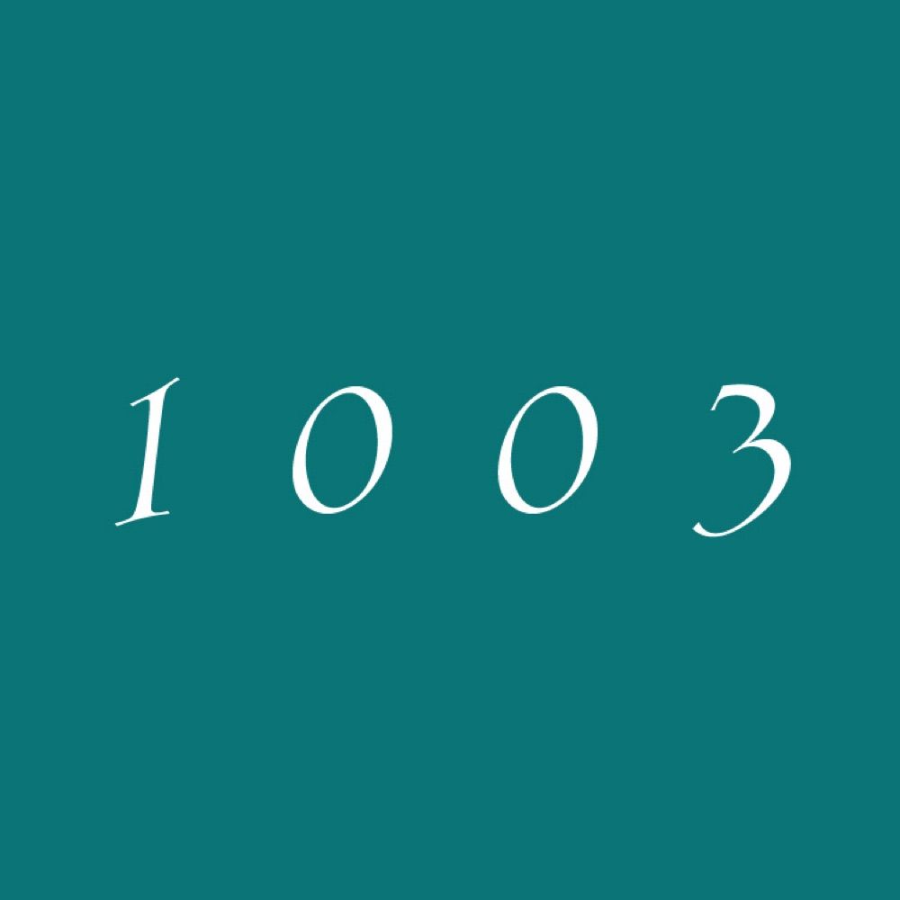 1003